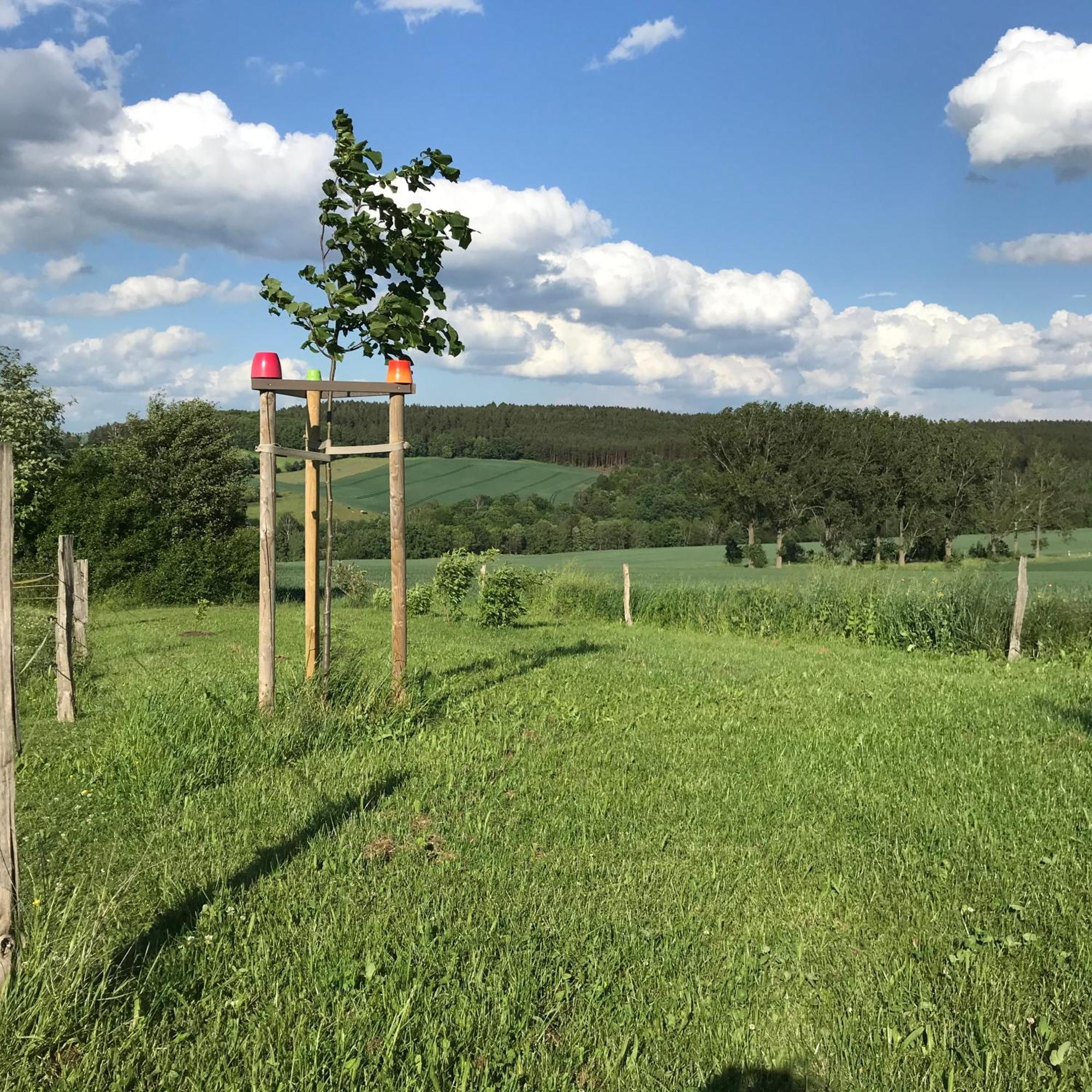 Ferienwohnung Energietanken Vor Den Toren Dresdens -Barrierefrei- Dippoldiswalde Exterior foto