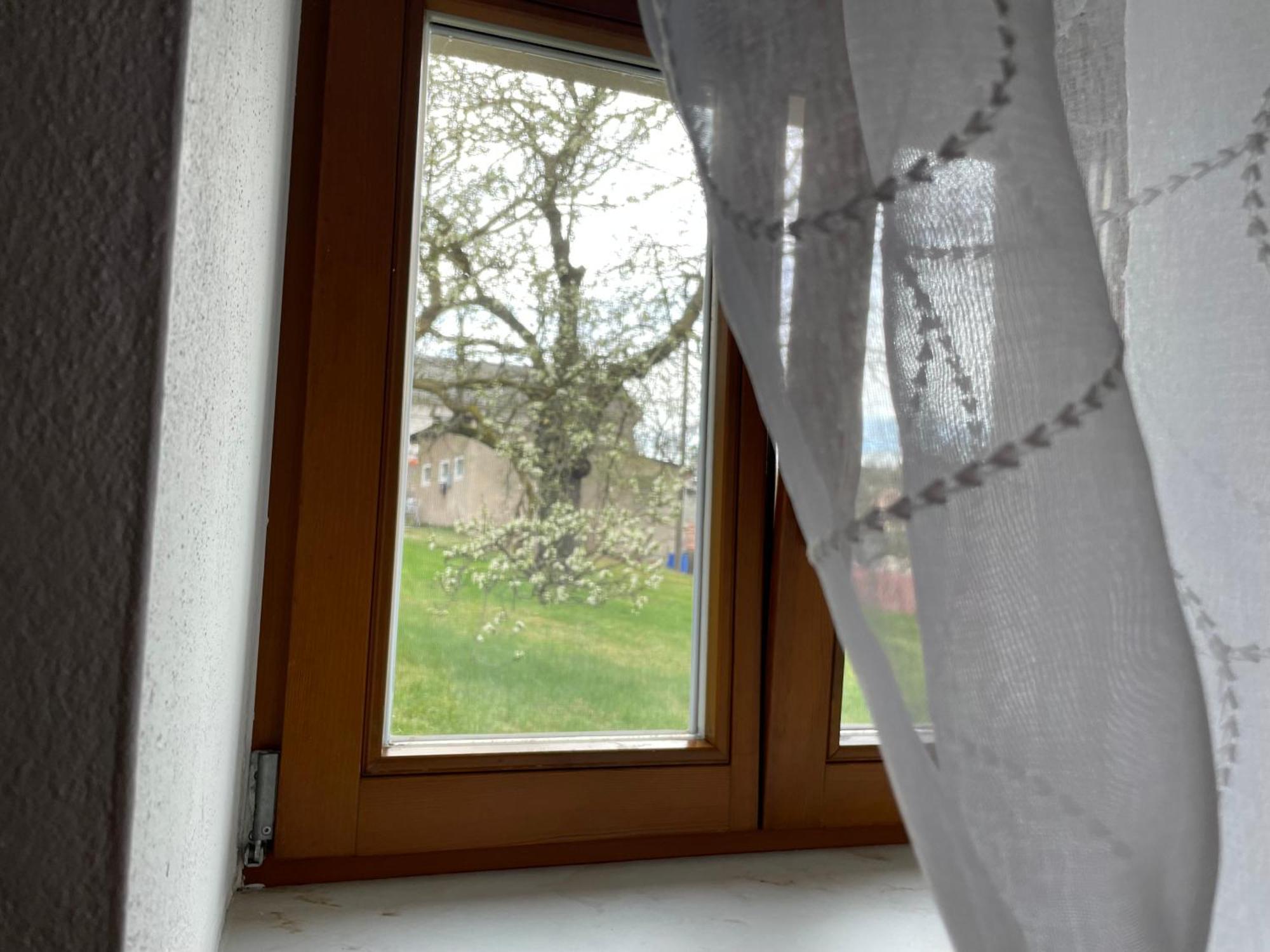 Energietanken Vor Den Toren Dresdens -Barrierefrei- Dippoldiswalde Exterior foto